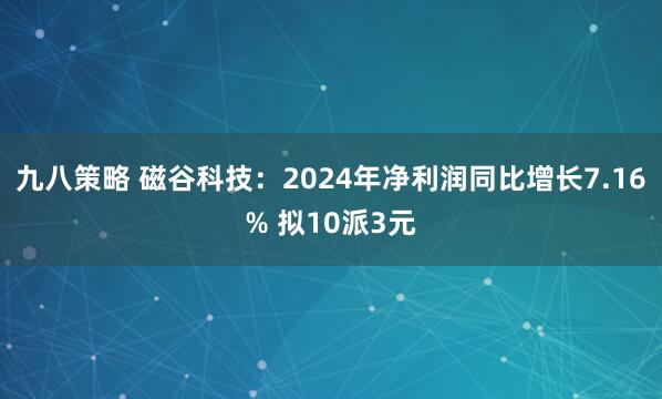 九八策略 磁谷科技：2024年净利润同比增长7.16% 拟10派3元