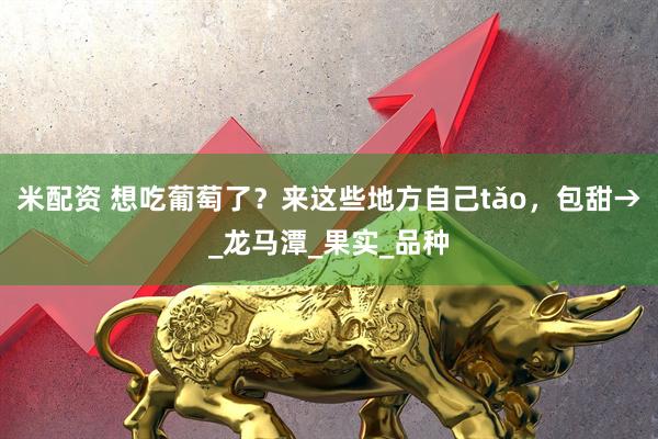米配资 想吃葡萄了？来这些地方自己tǎo，包甜→_龙马潭_果实_品种