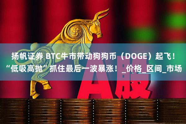 扬帆证券 BTC牛市带动狗狗币（DOGE）起飞！“低吸高抛”抓住最后一波暴涨！_价格_区间_市场
