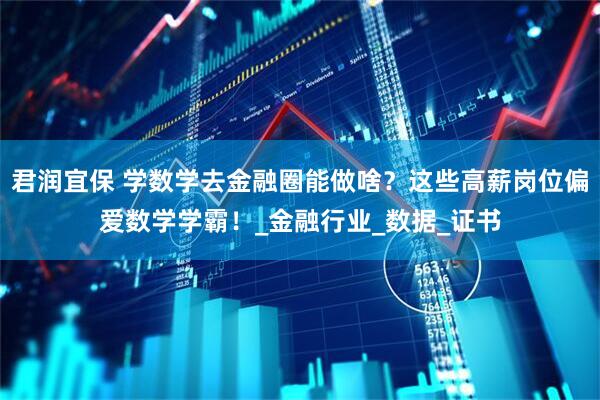 君润宜保 学数学去金融圈能做啥？这些高薪岗位偏爱数学学霸！_金融行业_数据_证书