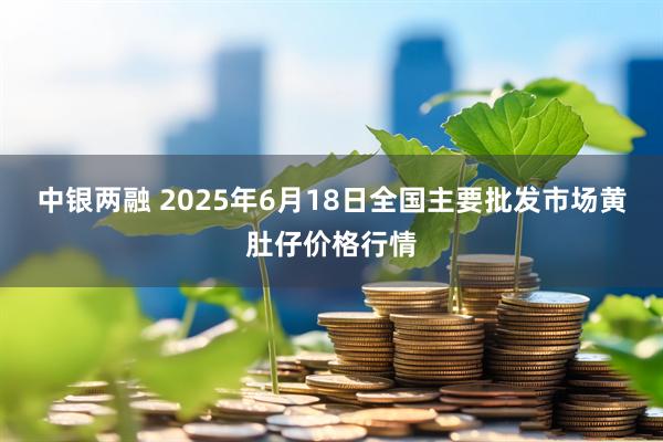 中银两融 2025年6月18日全国主要批发市场黄肚仔价格行情